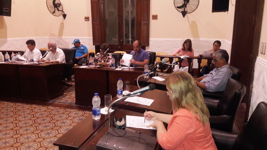 Informe de Prensa HCD / Sesión 17 de octubre de 2018