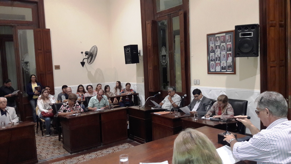 Informe de Prensa HCD / Sesión 13 de marzo de 2019
