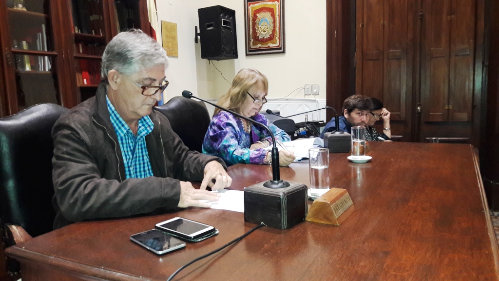 Informe de Prensa HCD / Sesión 20 de marzo de 2019