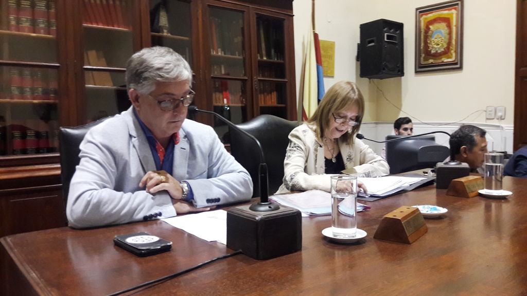 Informe de Prensa HCD / Sesión 27 de marzo de 2019