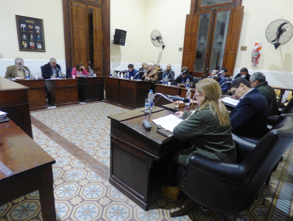 Informe de Prensa HCD / Sesión 26 de junio de 2019