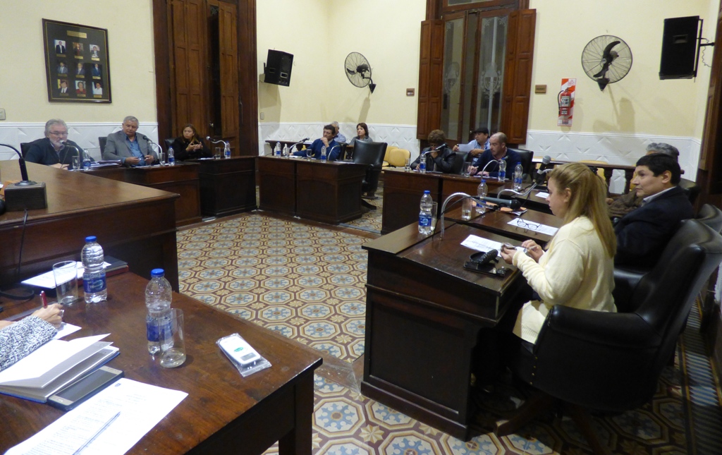 Informe de Prensa HCD / Sesión 7 de agosto de 2019