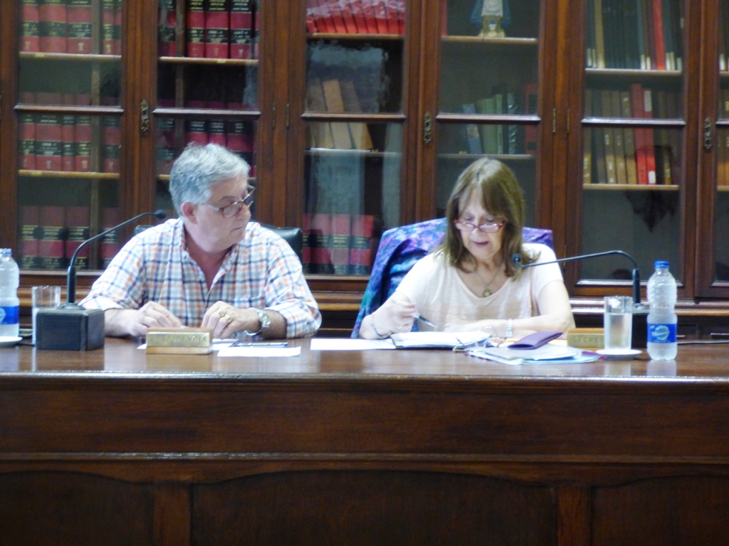 Informe de Prensa HCD / Sesión 30 de octubre de 2019