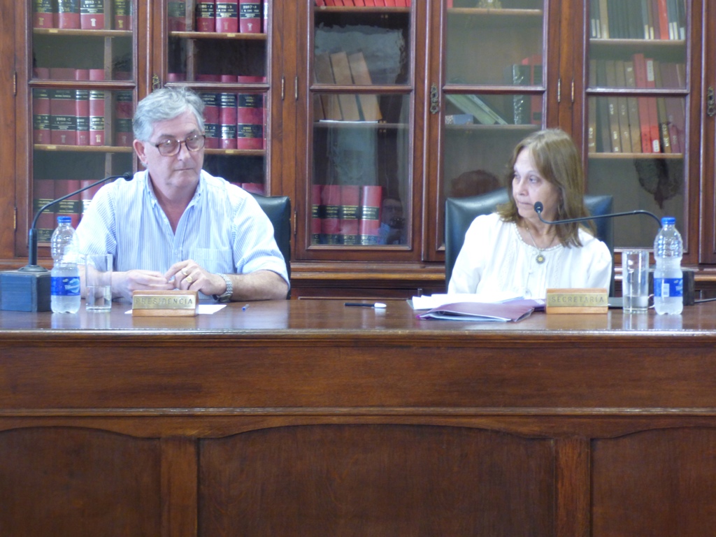 Informe de Prensa HCD / Audiencia  Pública y Sesión 7 de noviembre