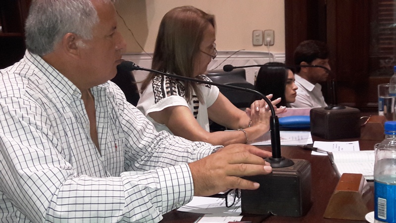 Informe de Prensa HCD / Sesión Especial 13 de marzo de 2020