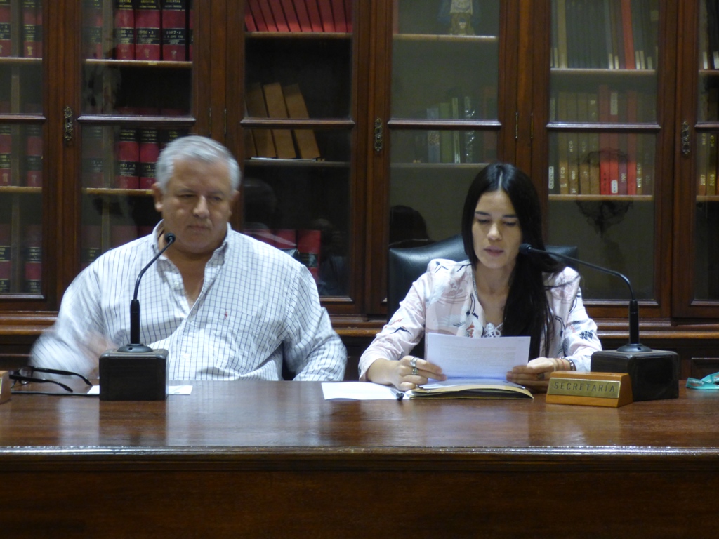 Informe de Prensa HCD / Sesión Especial 31 de marzo de 2020