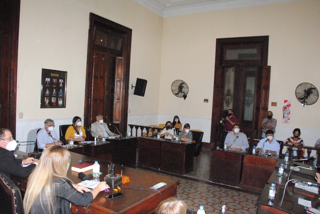 Informe de Prensa HCD / Sesión Especial 26 de marzo de 2021