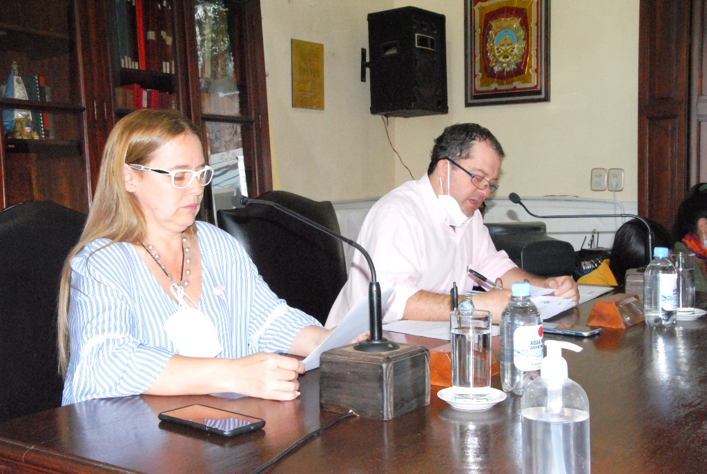 Informe de Prensa HCD / Sesión 20 de octubre de 2021