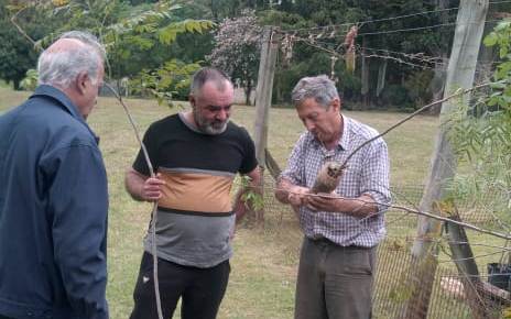Donación de árboles para reforestación en nuestra ciudad