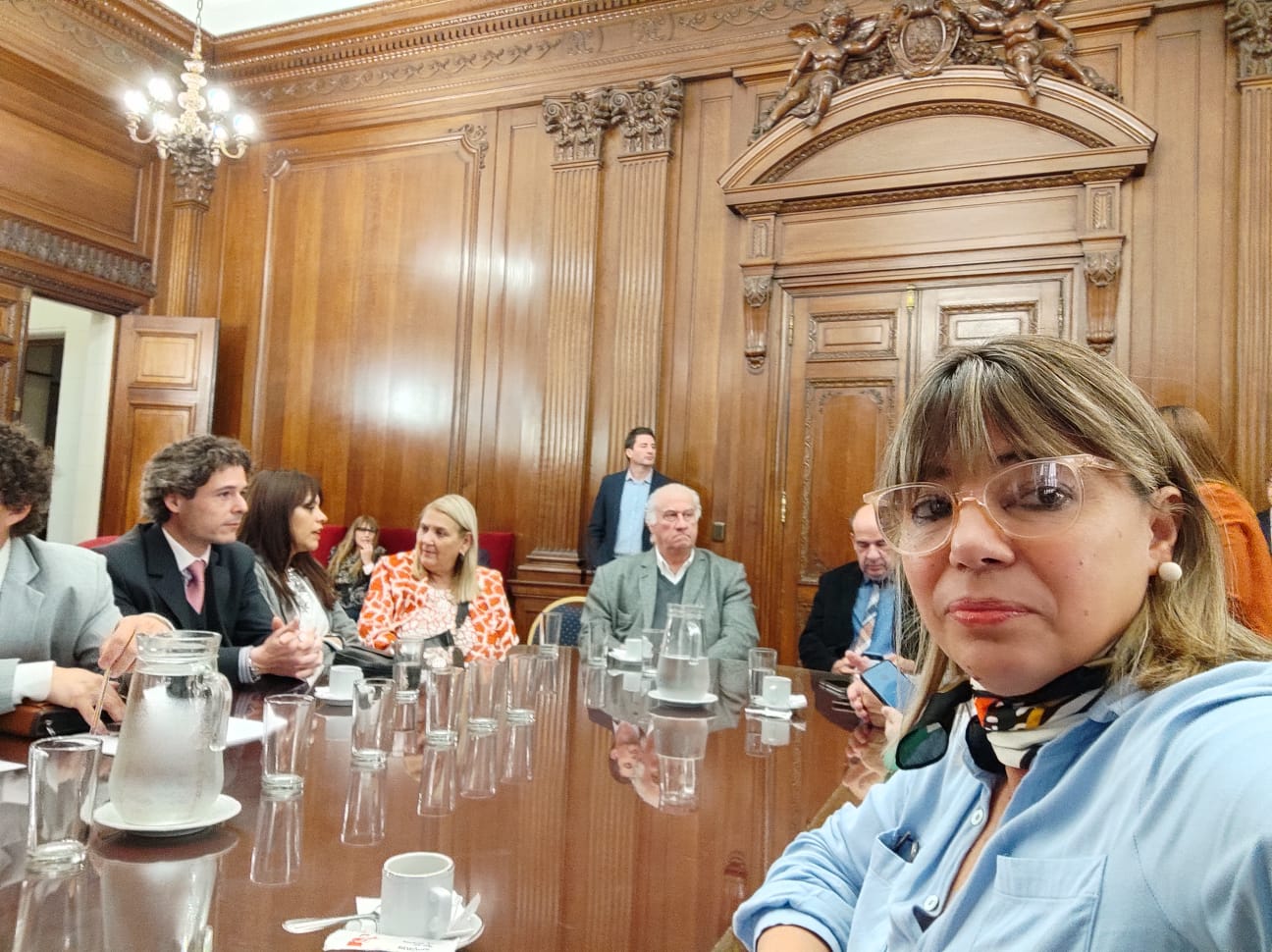 La vicepresidente primera Rosa Muller participó del 2° Encuentro de Intercambio Legislativo para la Acción Climática