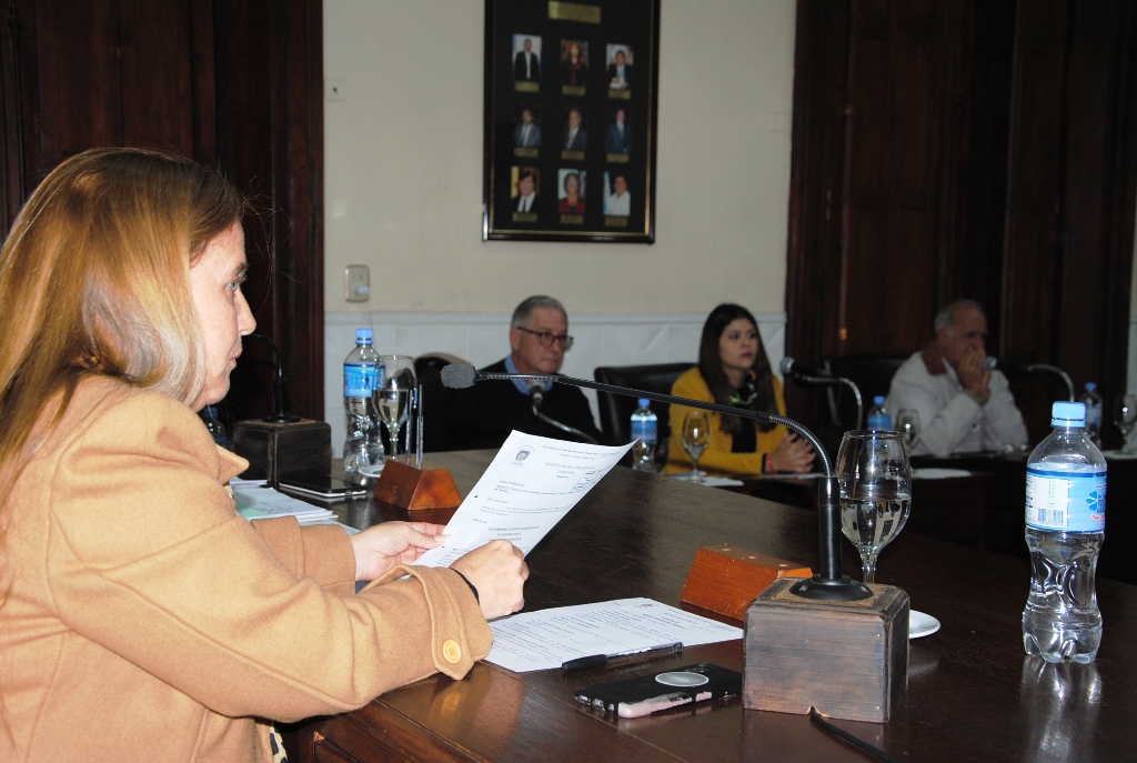 Informe de Prensa HCD / sesión 30 de junio de 2023